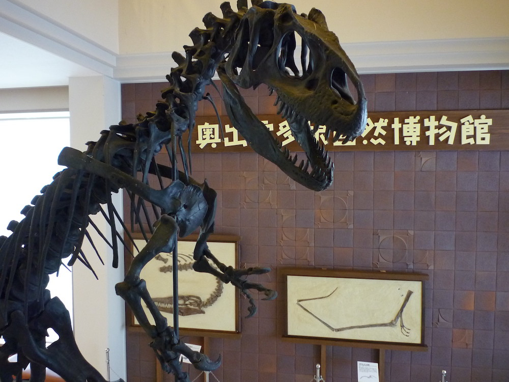 奥出雲多根自然博物館の見学と恐竜のジオラマ作り体験