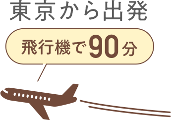 東京から飛行機で90分