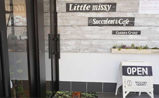 Little Missy〈昼食〉　写真