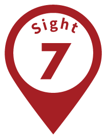 sight7