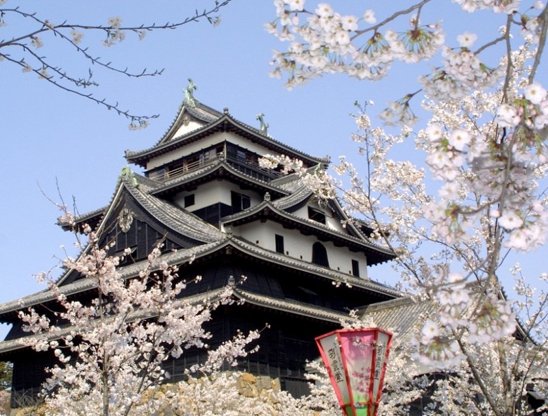 MatsueCastle in Spring