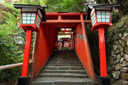 Torii Gates