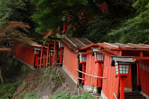 red torii tunnel