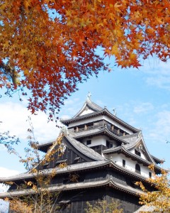 Matsue Castle in Autumn