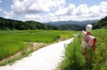 rice fields in unnan