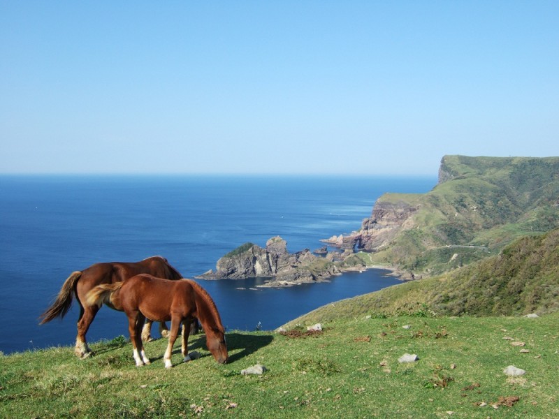 Akao lookout　kuniga coast