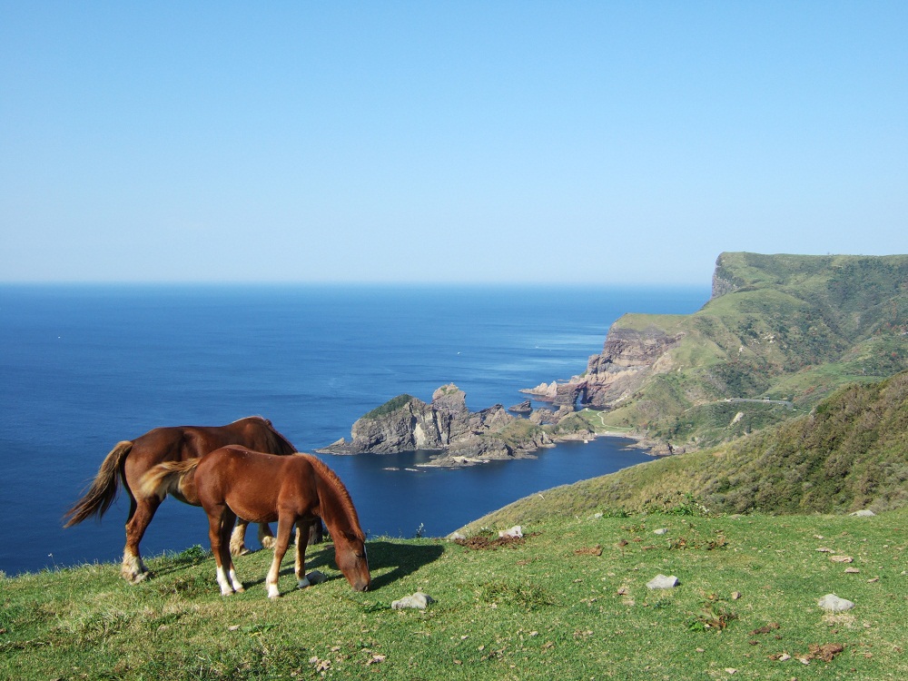 Akao lookout　kuniga coast