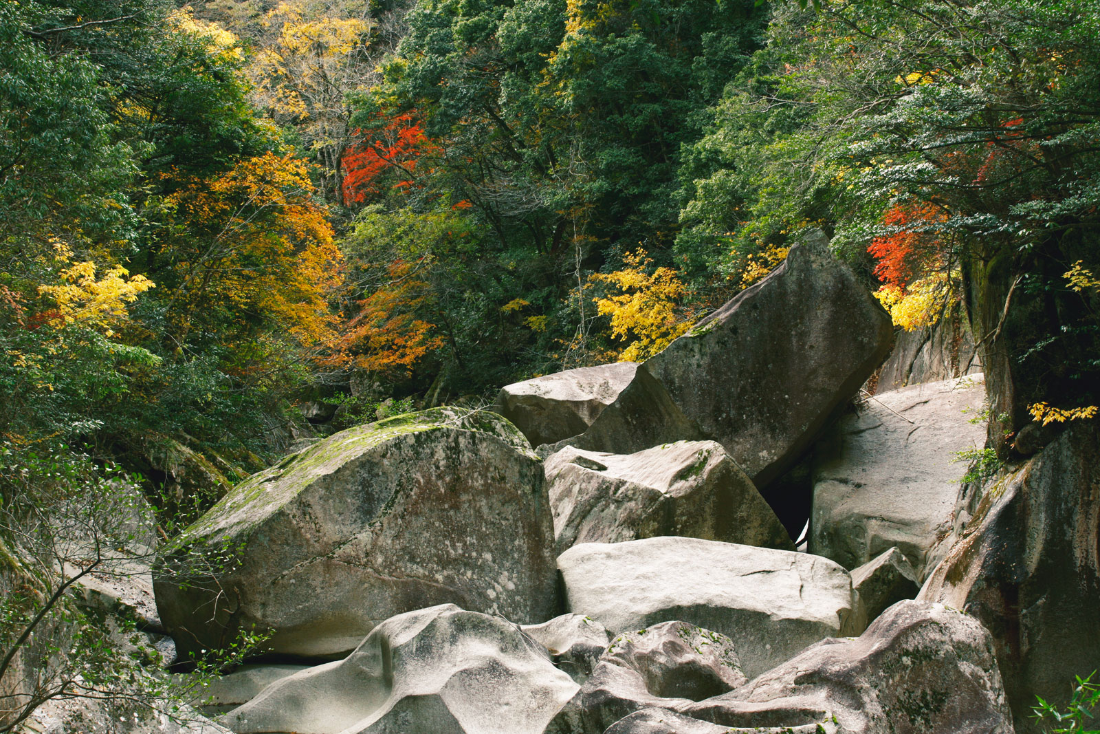 onino-shitaburui-gorge