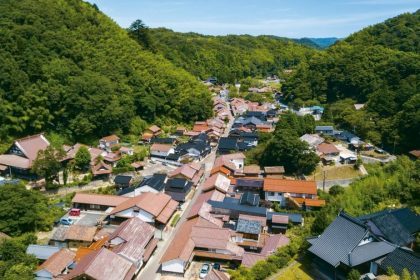 Omori Town from above