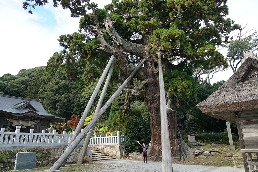 Oki Tamawakasu-mikoto Shrine