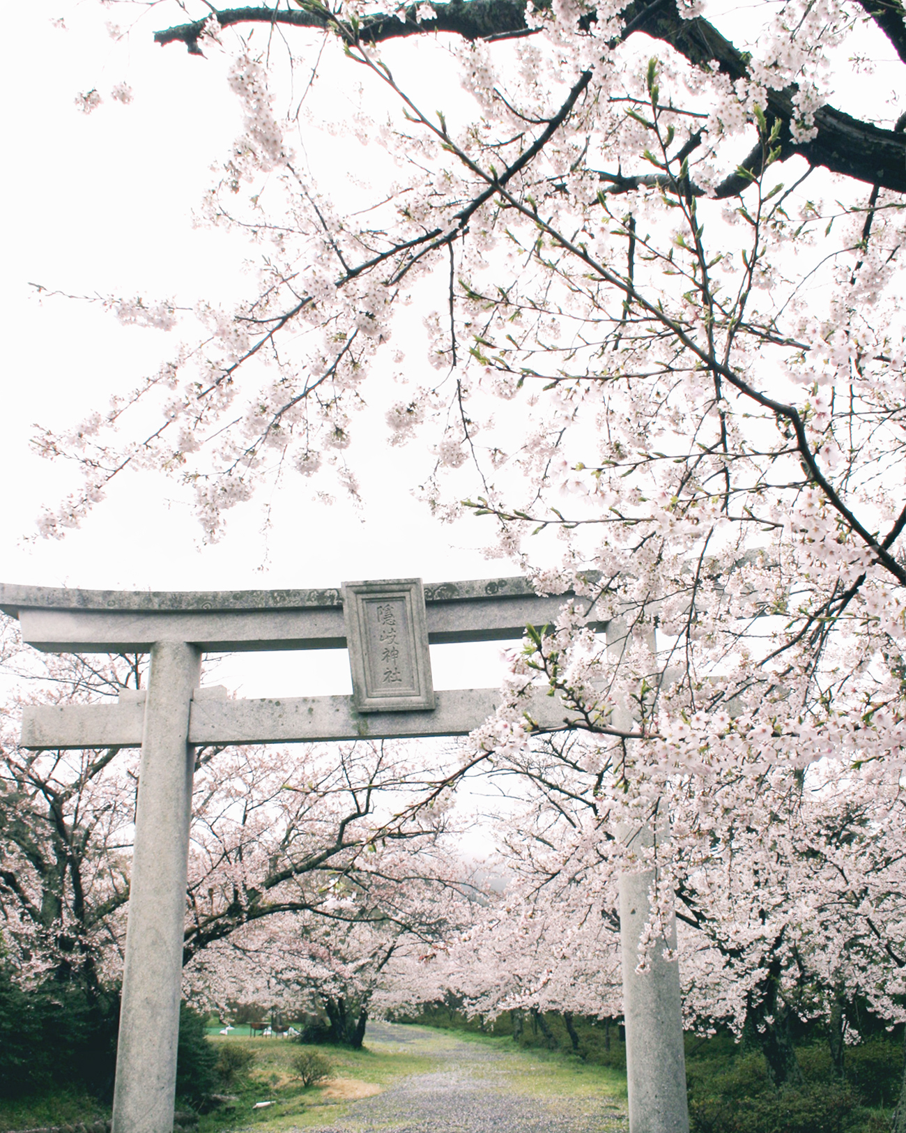 Oki Shrine