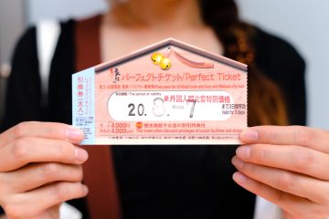 Perfect Ticket