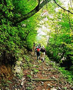 大万木山（飯南町）