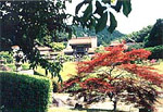 龍雲寺（浜田市）