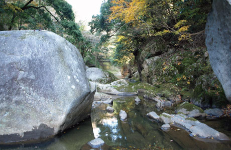 鬼の舌震