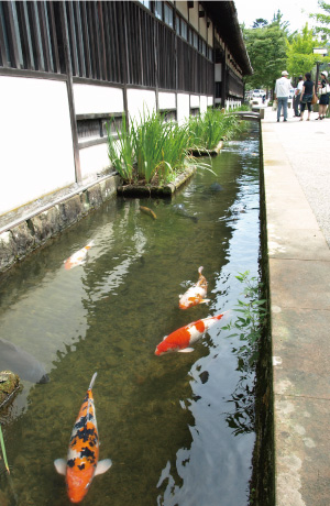 津和野駅