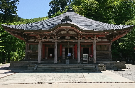 大山ブナの森ウォーク