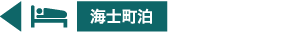 夜の隠岐神社まいり