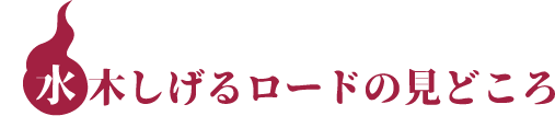 水木しげるロードの見どころ