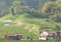 飯谷の風景