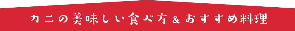 カニの美味しい食べ方&おすすめ料理