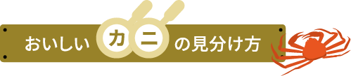 おいしいカニの見分け方