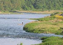 高津川の鮎釣り