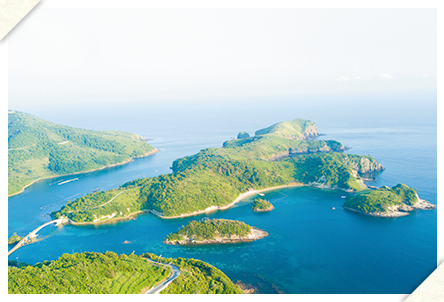 知夫里島の空と馬