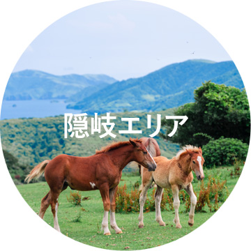 隠岐エリア