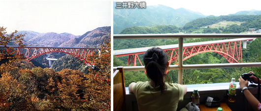 奥出雲おろち号から眺める三井野大橋