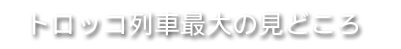 トロッコ列車最大の見どころ