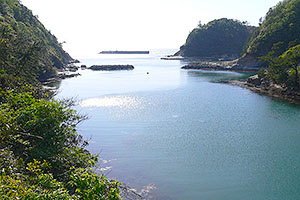 沖泊
