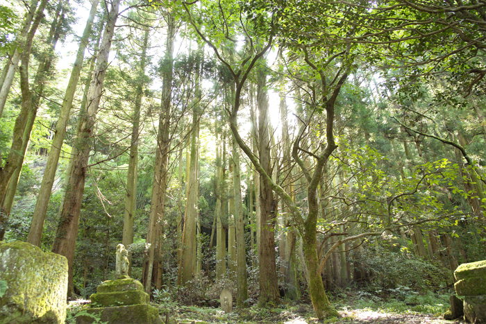 正覚山大安寺の境内