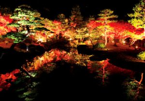 島根の秋の夜長を楽しむライトアップ情報