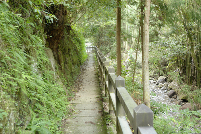 遊歩道からの眺め