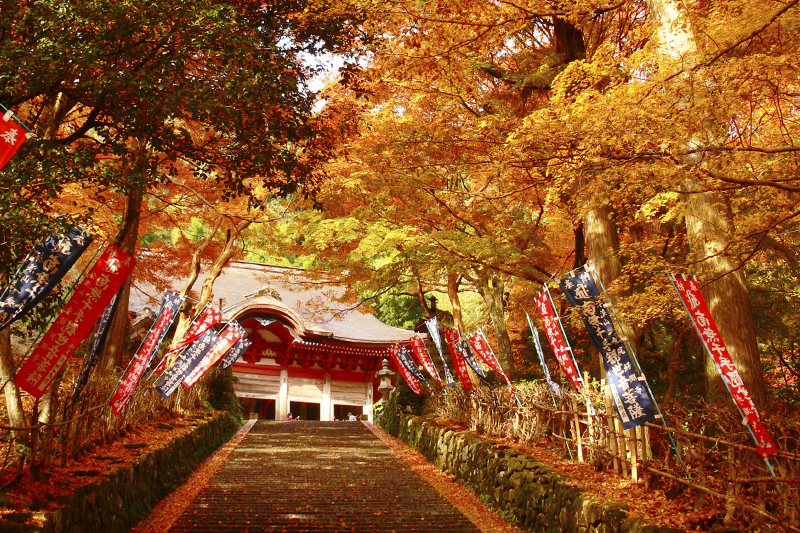 鰐淵寺の紅葉