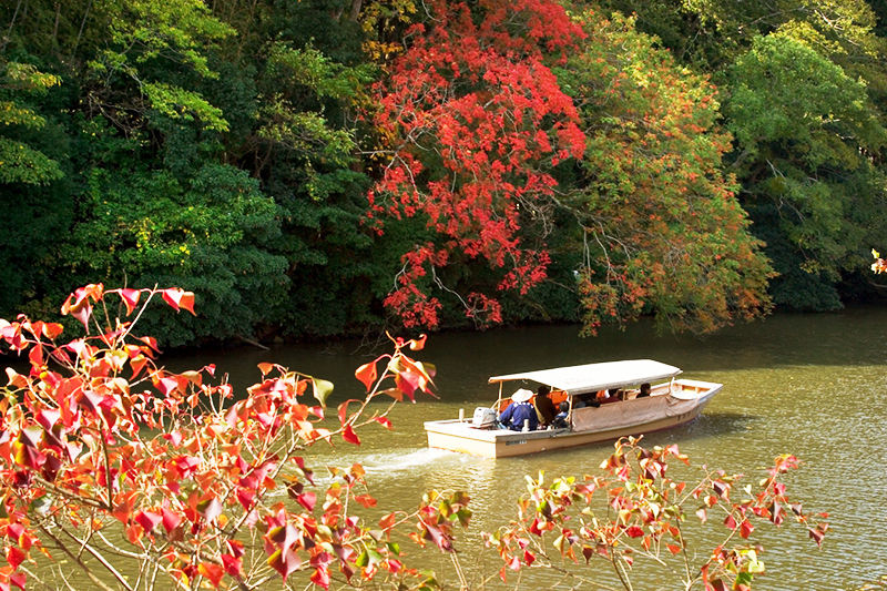 秋の堀川遊覧船