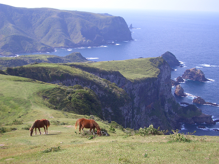 西ノ島町　摩天崖