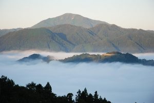津和野城跡の雲海