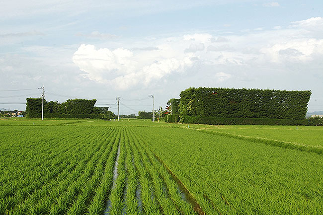 築地松の散居集落