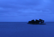 夕日だけじゃない宍道湖の絶景！朝と夜の観光を楽しもう！