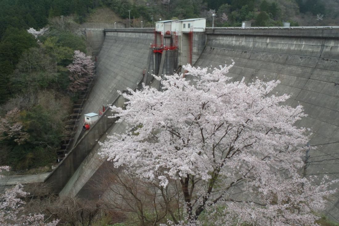 布部ダム