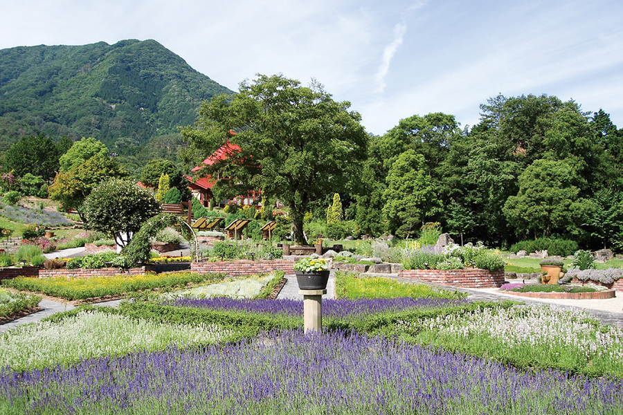 香木の森公園