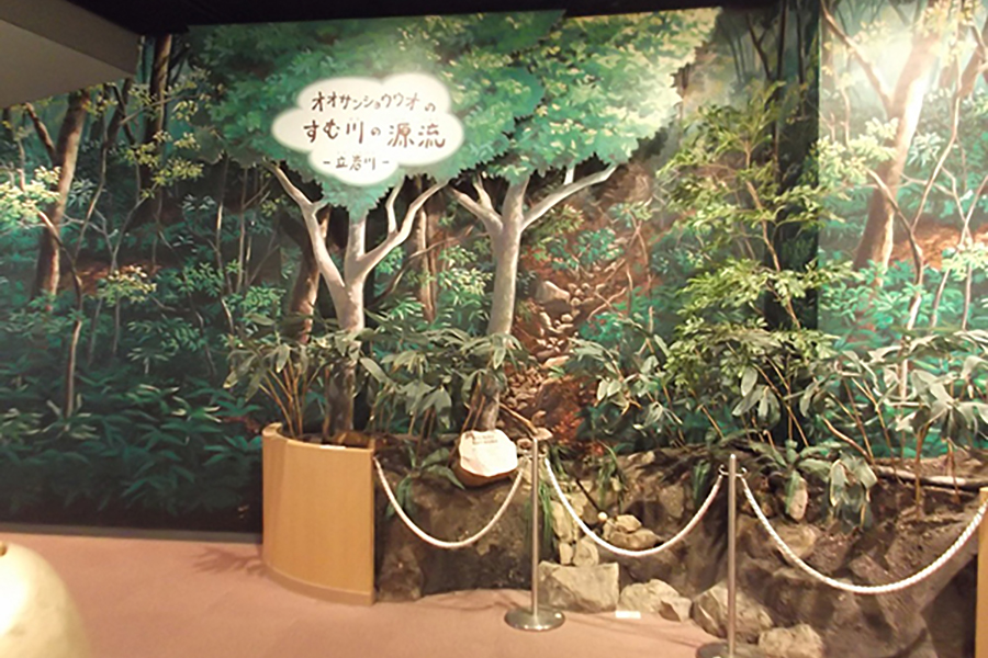 瑞穂ハンザケ自然館