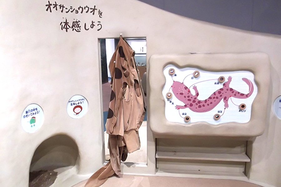 瑞穂ハンザケ自然館