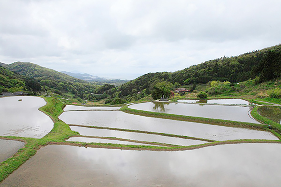 室谷の棚田