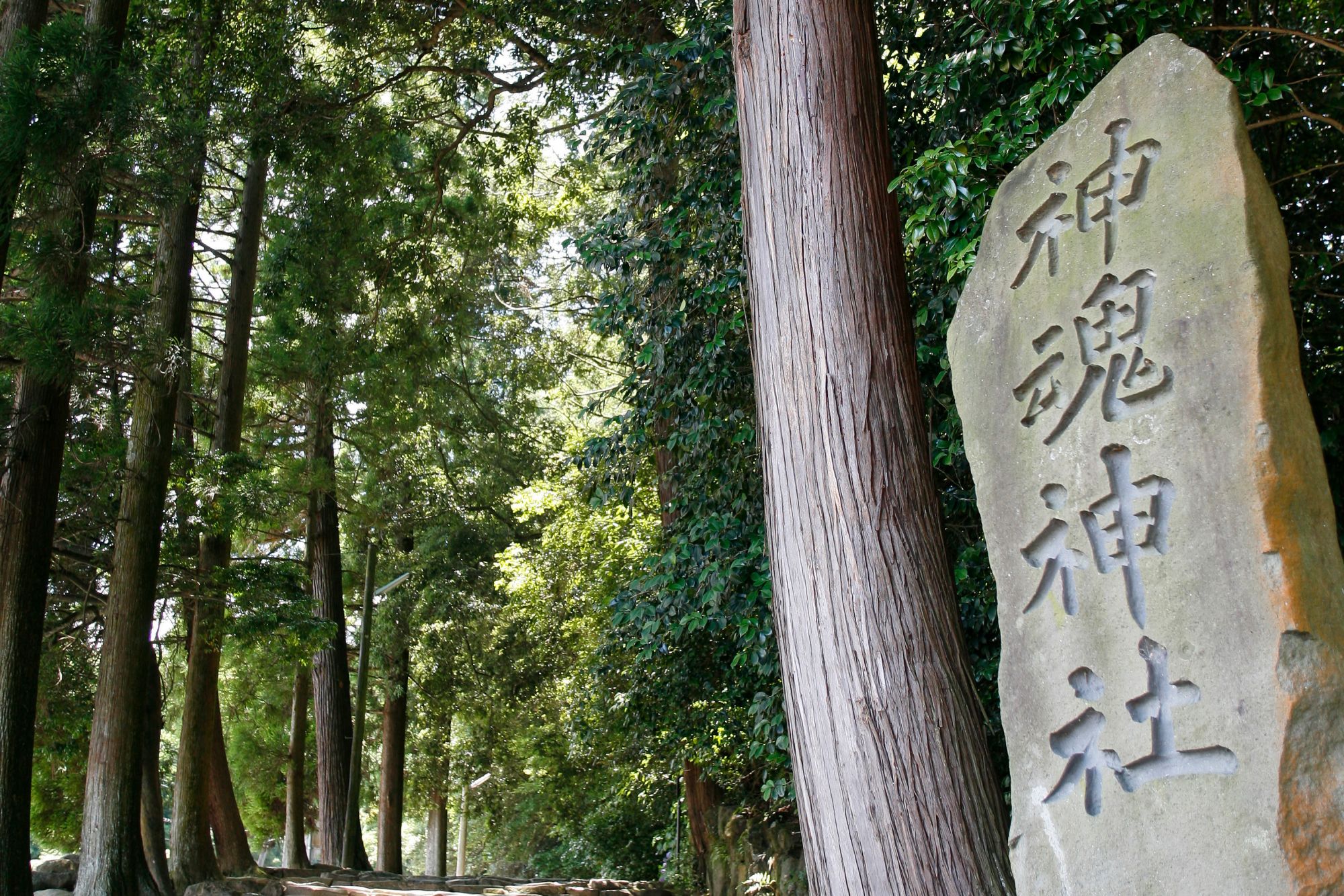 神魂神社