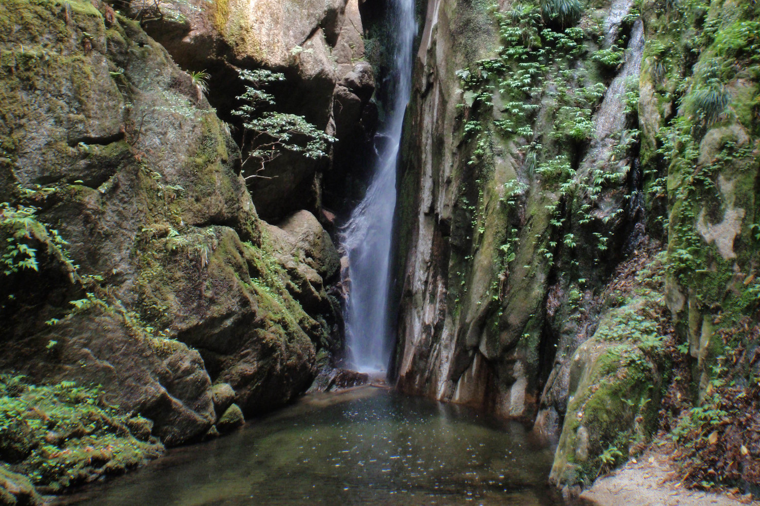 玉峰山の滝群