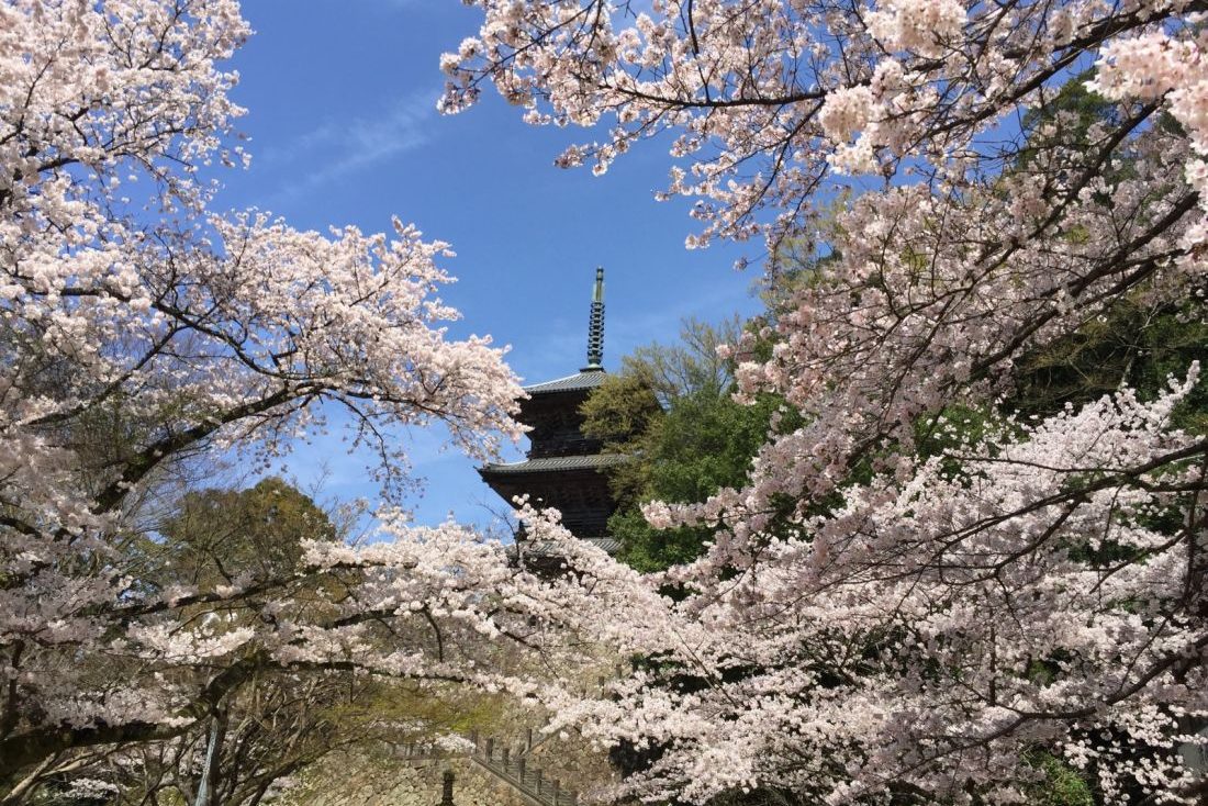 清水寺