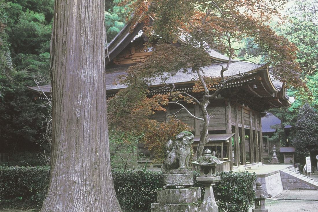 鰐淵寺